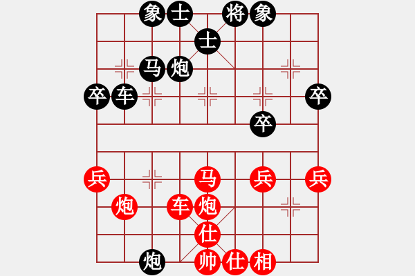 大黑虎(月将-和-空间棵(7段-2011