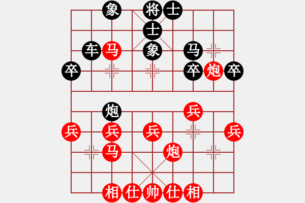 象棋棋譜圖片：2006年迪瀾杯弈天聯(lián)賽第一輪轟炸機六號(5r)-和-不游泳的魚(月將) - 步數(shù)：30 