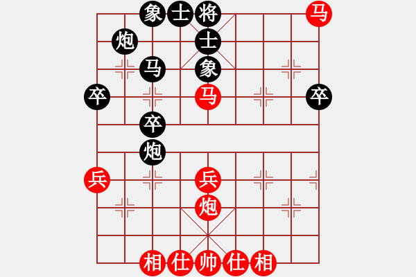 象棋棋譜圖片：涼州棋王(9星)-負(fù)-tmgx(9星) - 步數(shù)：40 